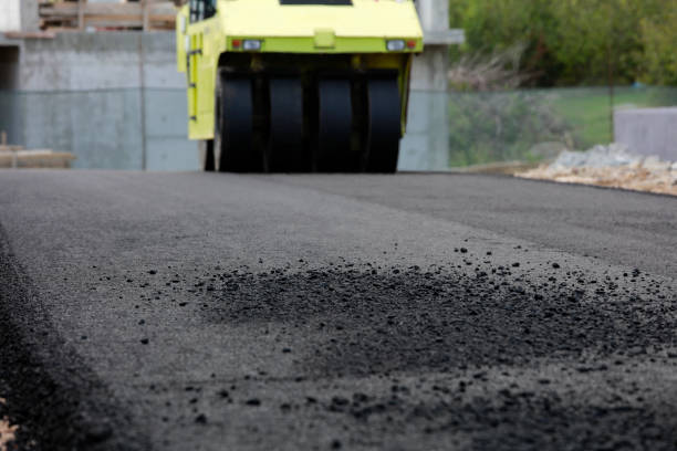 Best Paver Driveway Replacement  in Warrington, FL